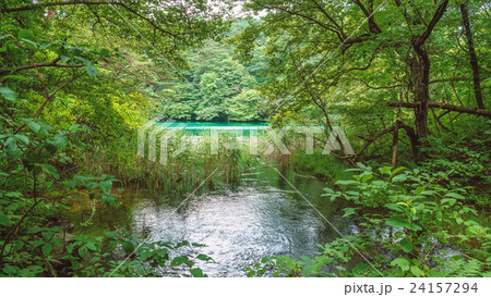 裏磐梯五色沼の風景 24157294