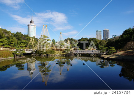 日本庭園／見浜園の池と雪吊り（千葉市美浜区） 24157734