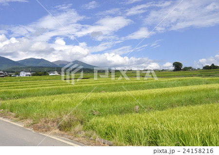 田園風景 24158216