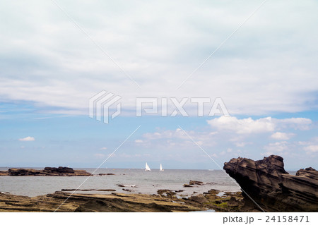 三浦半島　荒井浜海岸 24158471