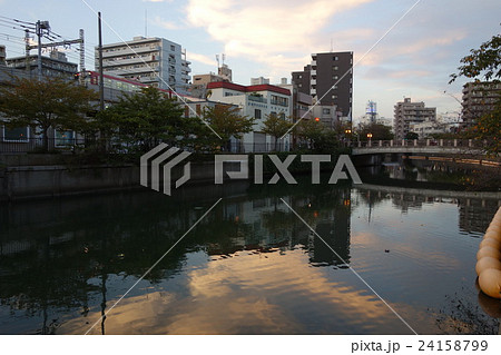 大岡川 大岡川 24158799