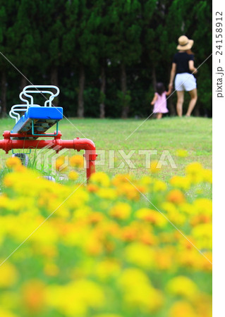 夏の思い出 夏の思い出 24158912