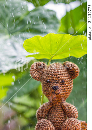 Single bear doll in the rain Single bear doll in the rain 24159778