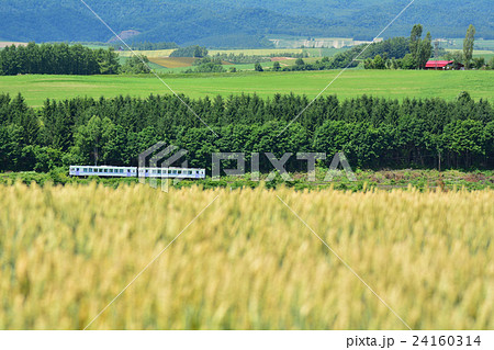 美瑛の丘を走る列車 美瑛の丘を走る列車 24160314