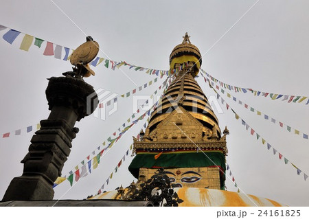 ネパール・スワヤンブナート寺院 ネパール・スワヤンブナート寺院 24161825