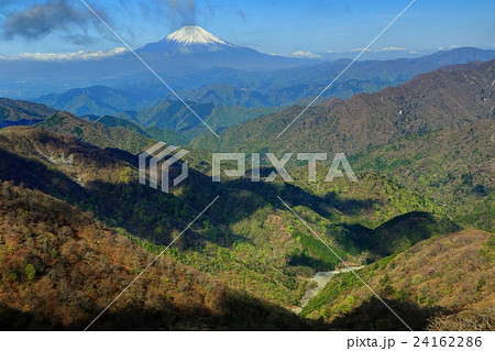 塔ノ岳から西丹沢の山並みと富士山 塔ノ岳から西丹沢の山並みと富士山 24162286