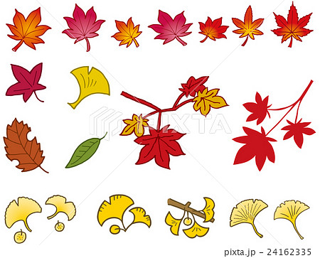 紅葉 紅葉 24162335