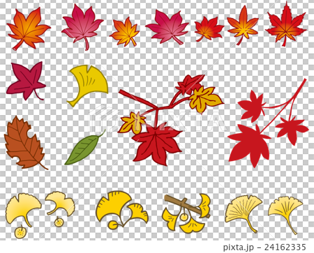 紅葉 紅葉 24162335