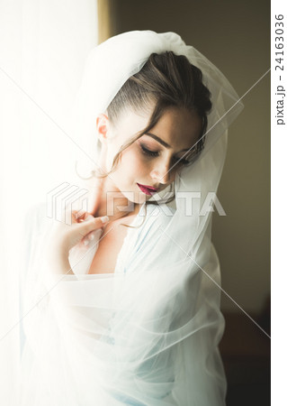 Beautiful young bride with makeup and hairstyle in Beautiful young bride with makeup and hairstyle in 24163036