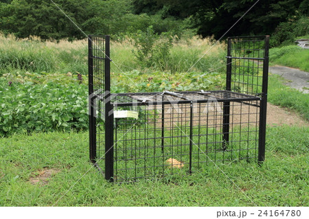野生鳥獣捕獲檻 野生鳥獣捕獲檻 24164780