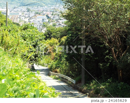 富海の町 24165629