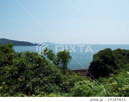 夏の海 24165631