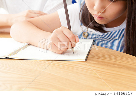勉強する小学生の手もと 勉強する小学生の手もと 24166217