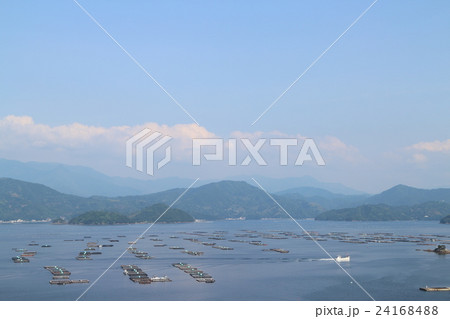 水荷浦の段畑の頂上から見た宇和海 水荷浦の段畑の頂上から見た宇和海 24168488