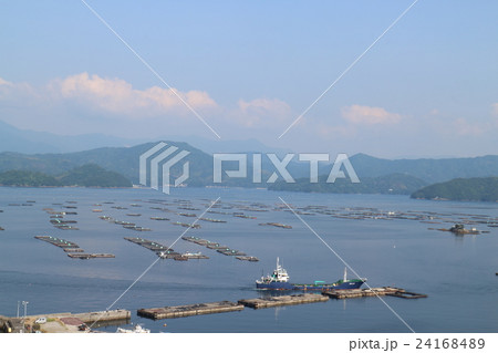 水荷浦の段畑の頂上から見た宇和海 水荷浦の段畑の頂上から見た宇和海 24168489