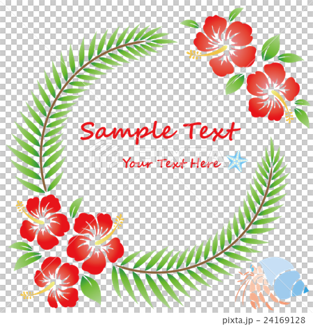 hibiscus, flower, flowers 24169128