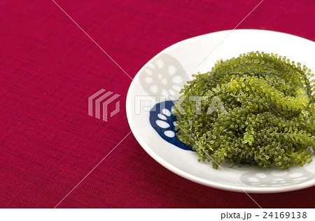 海ぶどう 24169138