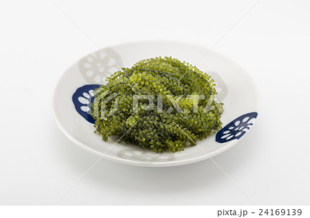 海ぶどう 24169139