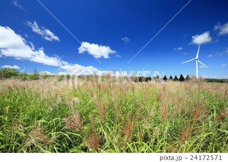 ススキと郡山布引高原のウインドファーム 24172571