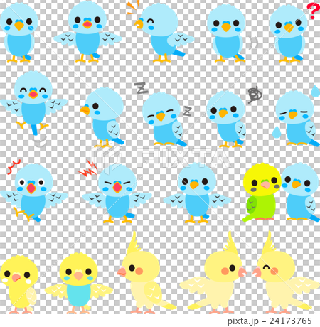 Illustration set of parakeet 24173765