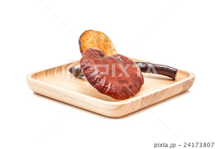 ganoderma lucidum mushroom on wooden plate 24173807