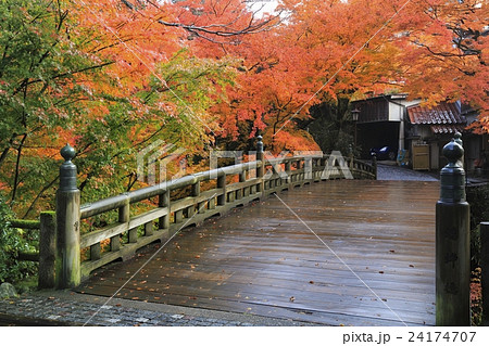山中温泉こおろぎ橋　紅葉 24174707