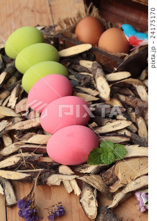 Colorful pickled of preserved egg  24175170