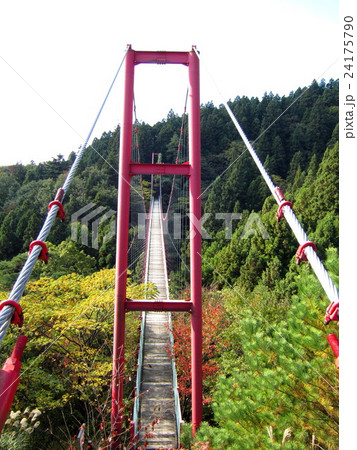 新潟県　国上山　吊り橋 24175790
