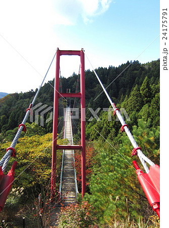新潟県 国上山 吊り橋 新潟県 国上山 吊り橋 24175791