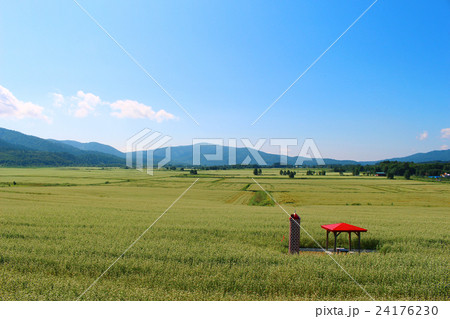 幌加内-そばの花展望台から1 24176230