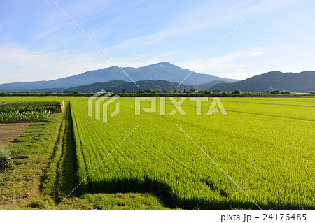 庄内平野と鳥海山 庄内平野と鳥海山 24176485