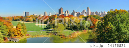 Central Park Autumn Central Park Autumn 24176821
