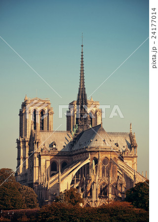 Paris Notre Dame Cathedral 24177014