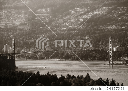 Lions Gate Bridge Lions Gate Bridge 24177291