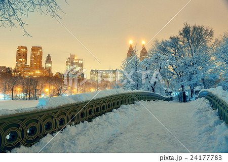 Central Park winter Central Park winter 24177783