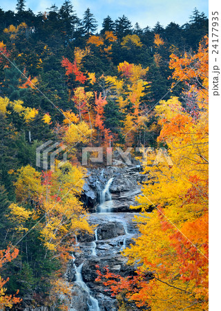 Colorful Autumn creek 24177935