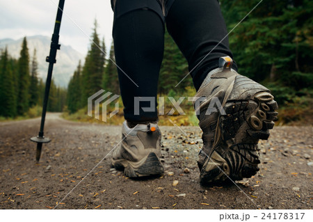 Banff National Park 24178317