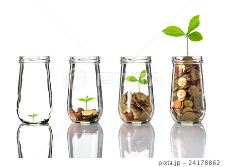 Gold coins and seed in clear bottle on white background,Business investment growth concept Gold coins and seed in clear bottle on white background,Business investment growth concept 24178862