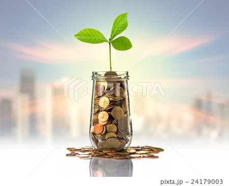 Gold coins and seed in clear bottle on photo blurred cityscape background,Business investment growth concept Gold coins and seed in clear bottle on photo blurred cityscape background,Business investment growth concept 24179003