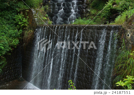 松之山温泉不動滝 松之山温泉不動滝 24187551