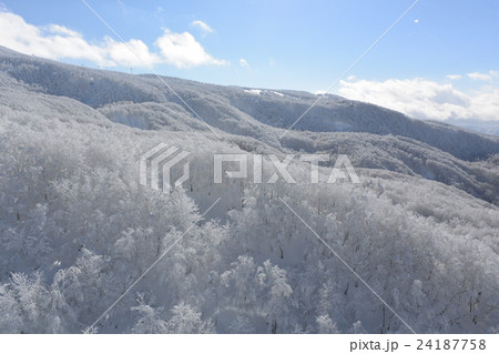 蔵王温泉スキー場の霧氷 24187758