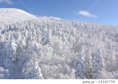 蔵王の樹氷原 24187759