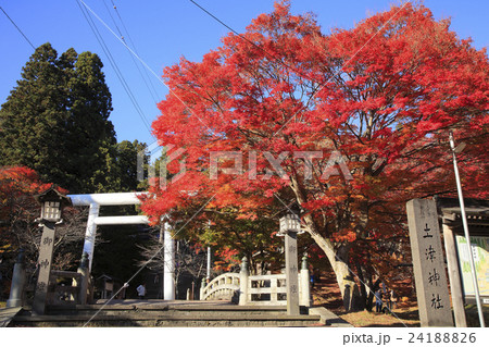 土津神社 土津神社 24188826