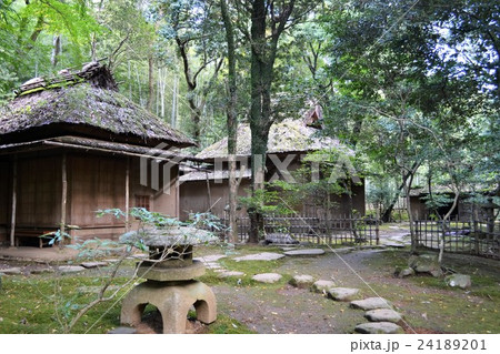 立田自然公園 泰勝寺跡の写真素材 2411