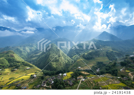Beautiful landscape Rice filed terraces at Sapa  24191438