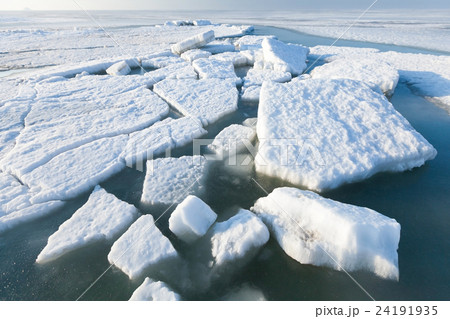Ice hummocks swim in the sea 24191935