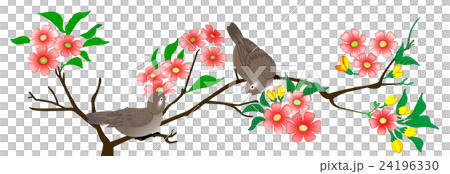 雀鳥迎春 24196330