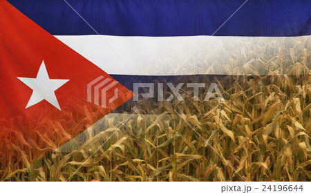 Cuba Nutrition Concept Corn field with fabric Flag 24196644