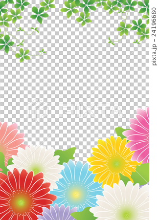 雛菊 雛菊 24196680