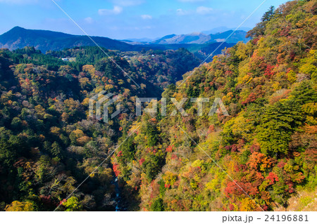 九重夢大吊橋からの紅葉の眺め 九重夢大吊橋からの紅葉の眺め 24196881